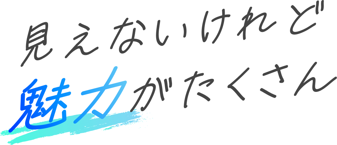 見えないけれど魅力がたくさん
